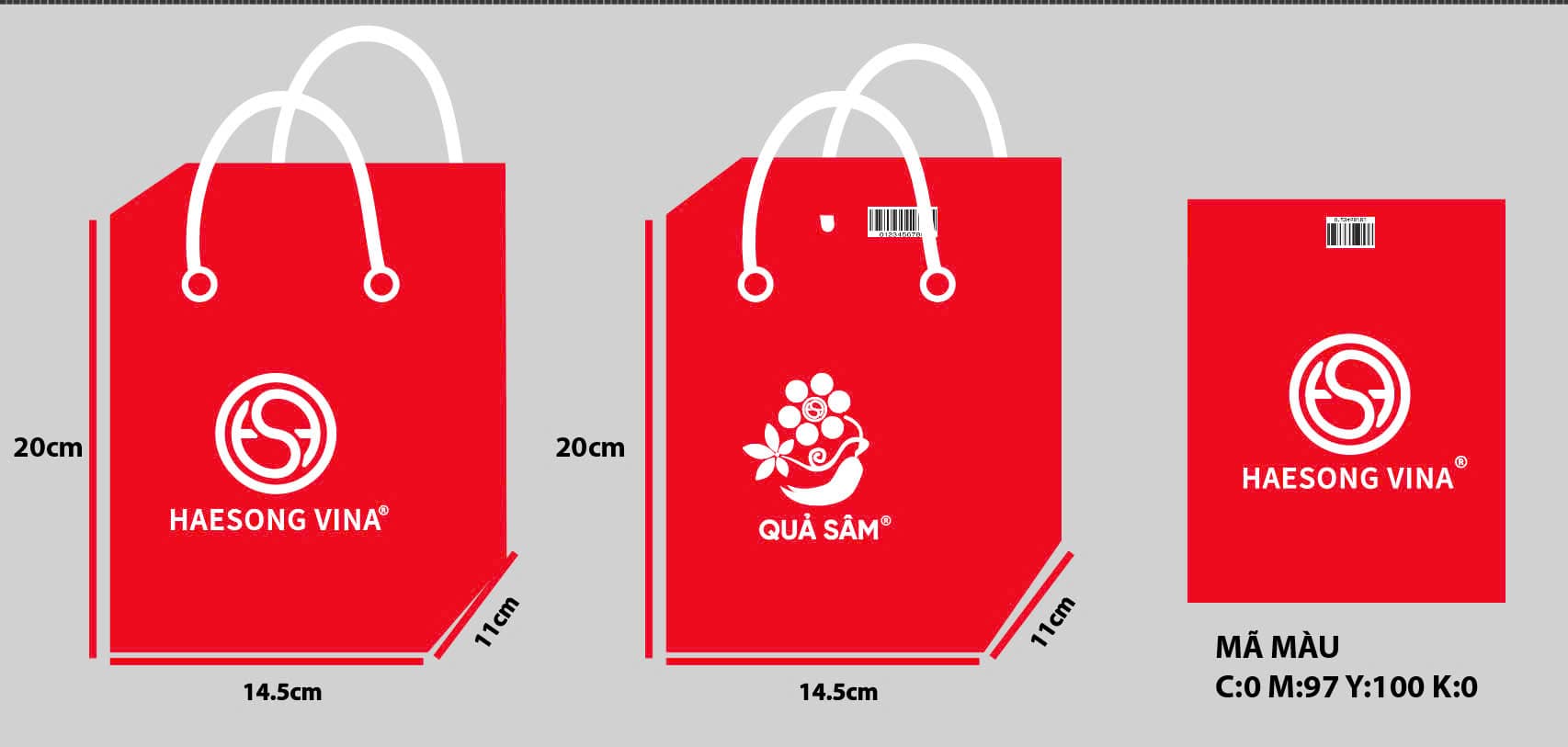 KM_Túi giấy Haesong Vina