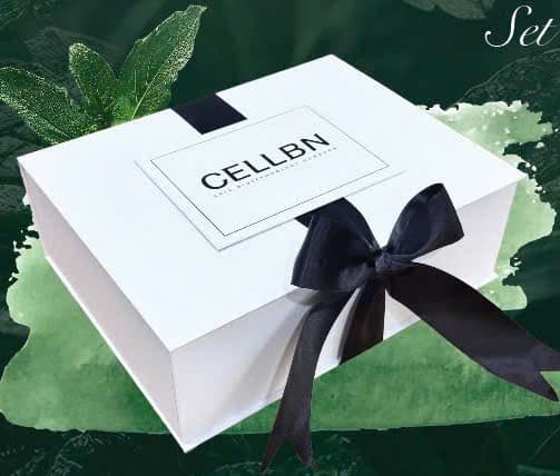 KM_Hộp quà giấy Cellbn