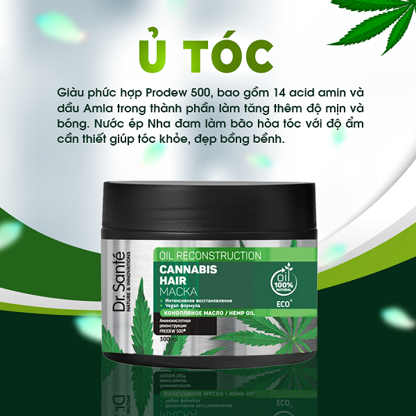 Thành phần và công dụng Kem ủ chăm sóc tóc chuyên sâu, phục hồi hư tổn – Cannabis Hair - Shopbiz