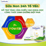 Hinh P Power
