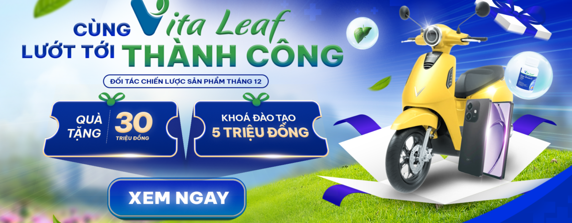 Vita Leaf - Đối tác chiến lược sản phẩm tháng 12